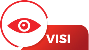 Visi